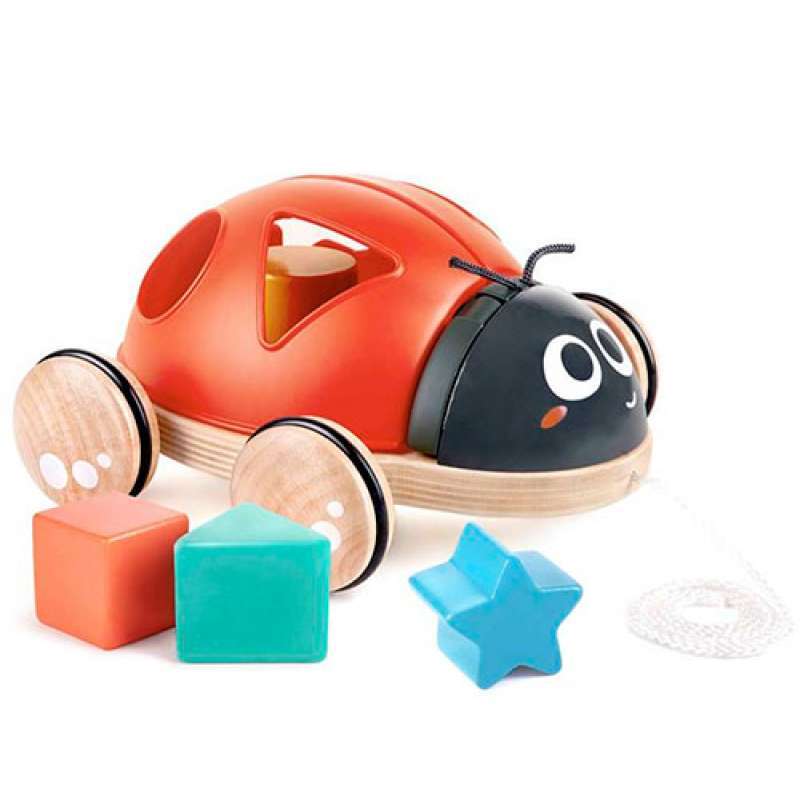 CLASIFICADOR DE FORMAS HAPE MARIQUITA