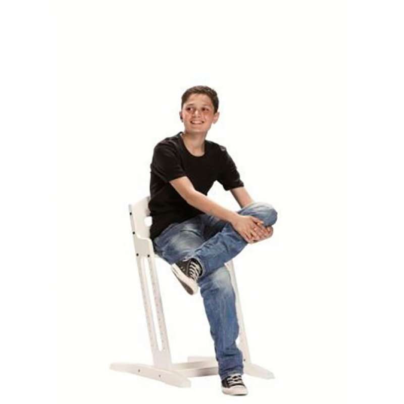 BABYDAN TRONA EVOLUTIVA DANCHAIR