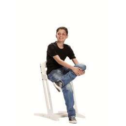 BABYDAN TRONA EVOLUTIVA DANCHAIR
